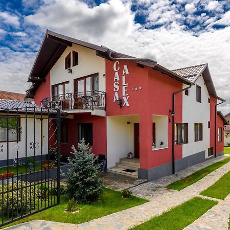 Casa Alex Calimanesti Hotel Bagian luar foto